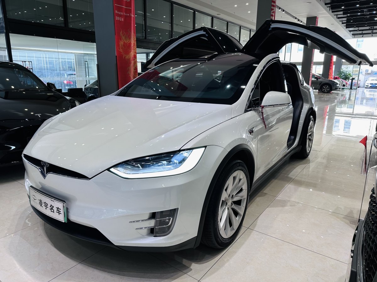 2020年4月特斯拉 Model X  2019款 長(zhǎng)續(xù)航版