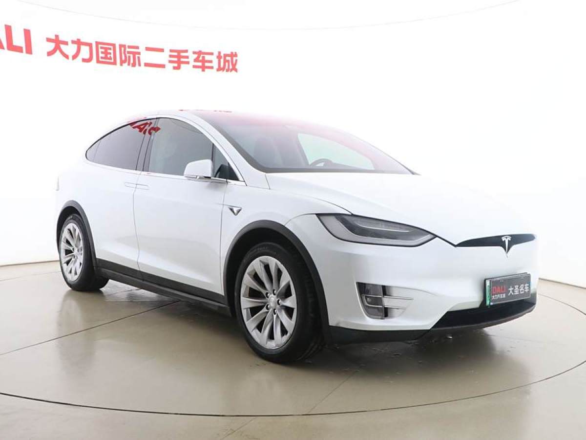 特斯拉 Model X  2017款 Model X 100D 長續(xù)航版圖片