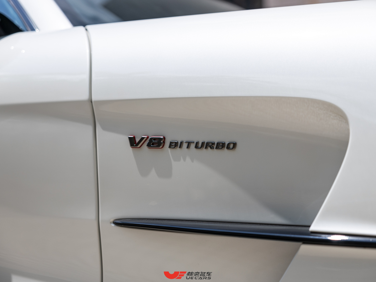 奔驰 奔驰AMG GT  2021款 AMG GT Black Series图片