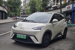 海鷗 比亞迪 榮耀版 305km 活力版