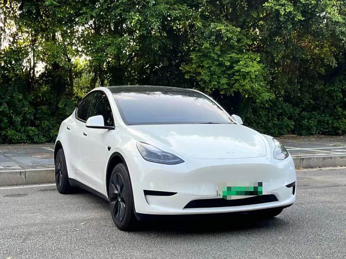 特斯拉 Model Y  2020款 改款 長(zhǎng)續(xù)航后輪驅(qū)動(dòng)版圖片