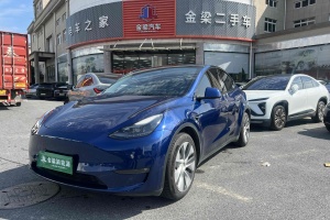 Model 3 特斯拉 长续航全轮驱动版 3D7