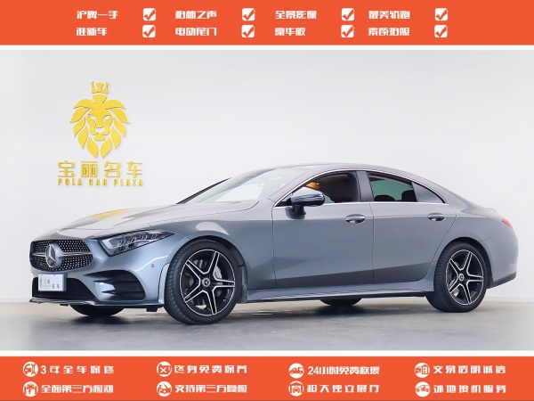 奔驰 奔驰CLS级  2021款 CLS 300 豪华型