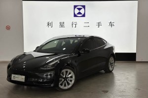 Model 3 特斯拉 后輪驅(qū)動版