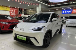 海鷗 比亞迪 榮耀版 305km 活力版