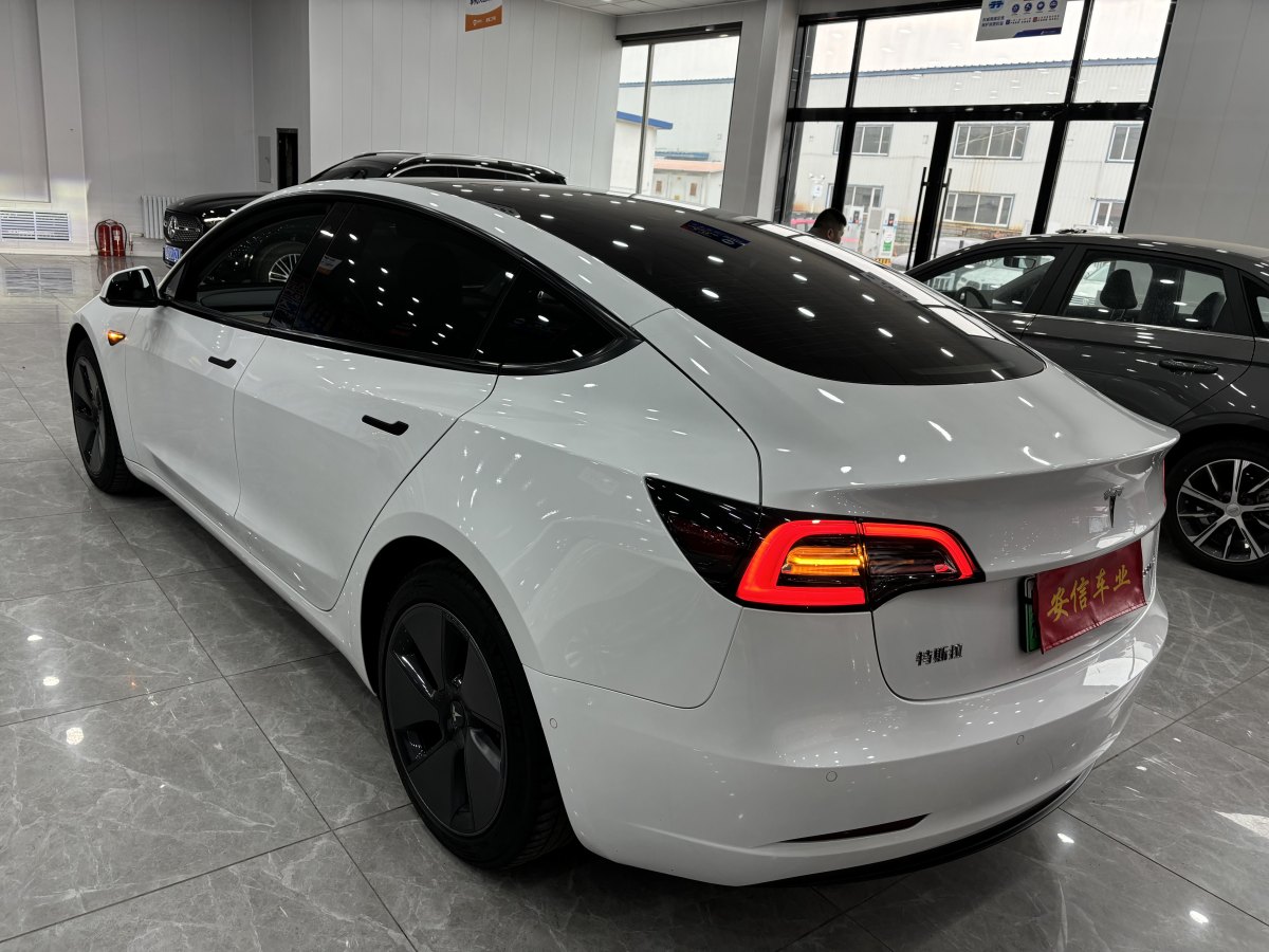 特斯拉 Model 3  2019款 標準續(xù)航后驅(qū)升級版圖片