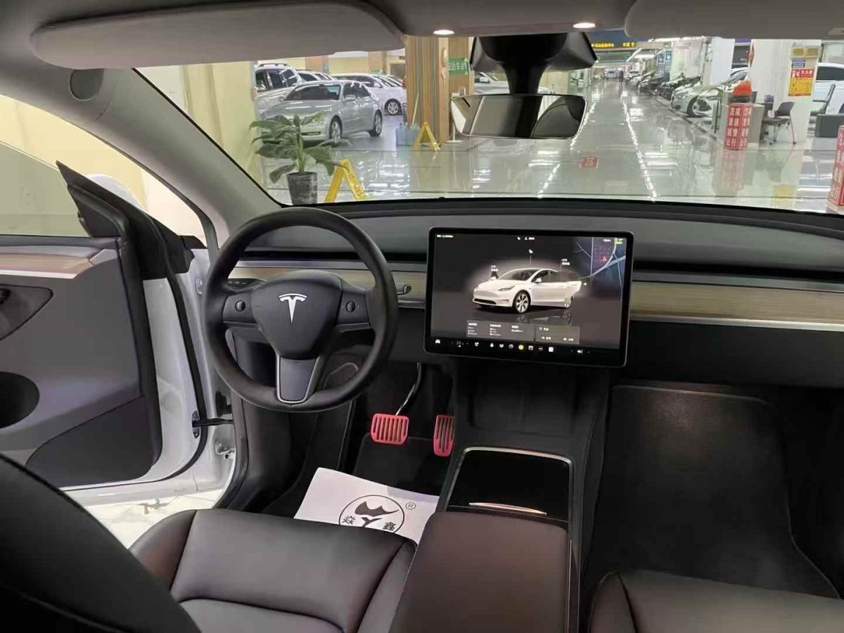 特斯拉 Model Y  2022款 Performance高性能全輪驅(qū)動(dòng)版圖片