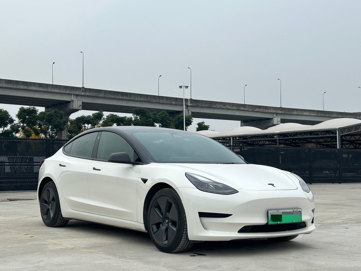 特斯拉 Model 3  2019款 標(biāo)準(zhǔn)續(xù)航后驅(qū)升級版圖片