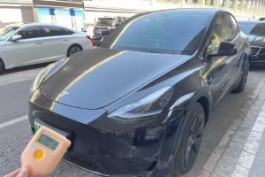 Model Y 特斯拉 Performance高性能版