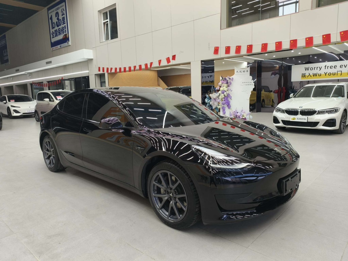 特斯拉 Model 3  2020款 改款 標(biāo)準(zhǔn)續(xù)航后驅(qū)升級(jí)版圖片