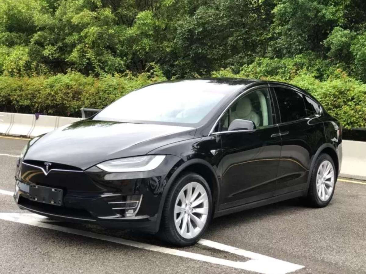 特斯拉 Model X  2017款 Model X 100D 长续航版图片