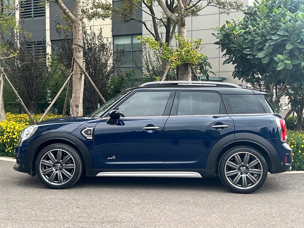 MINI COUNTRYMAN  2018款 2.0T COOPER S ALL4 藝術(shù)家圖片