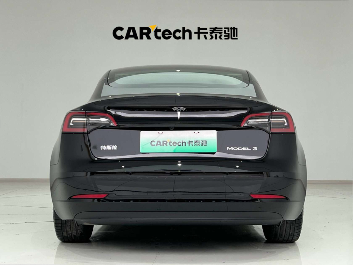 特斯拉 Model 3  2022款 后輪驅(qū)動版圖片