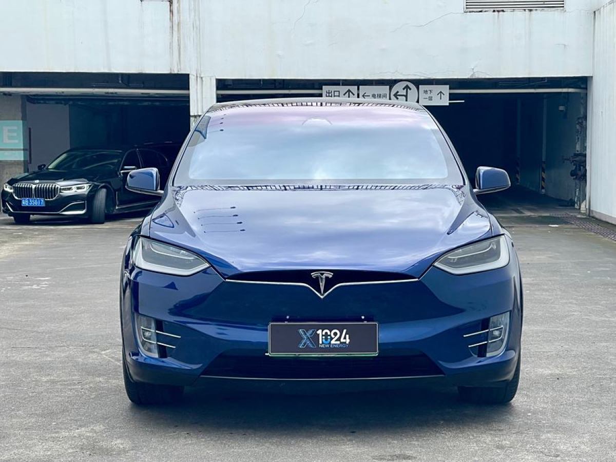 特斯拉 Model X  2019款 標準續(xù)航版圖片