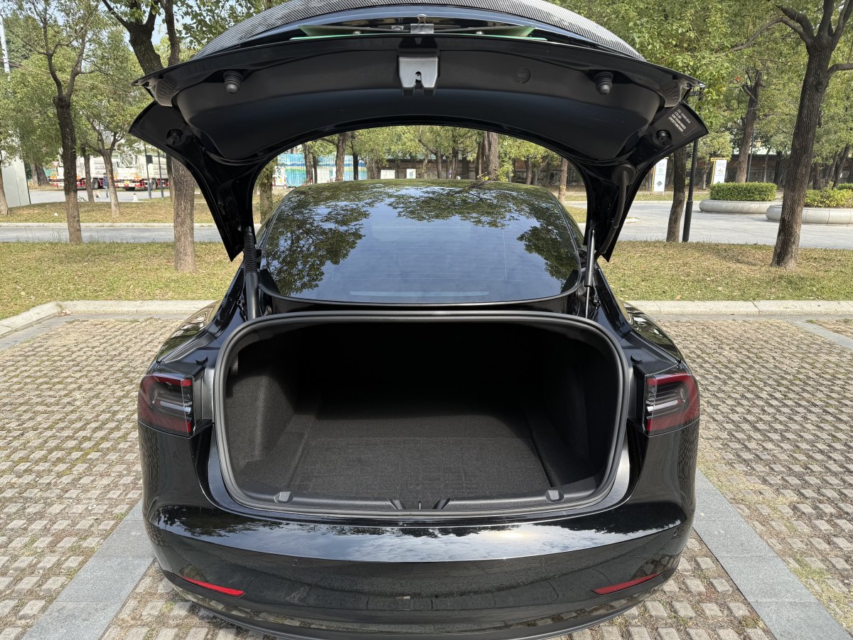 特斯拉 Model 3  2019款 標(biāo)準(zhǔn)續(xù)航后驅(qū)升級(jí)版圖片