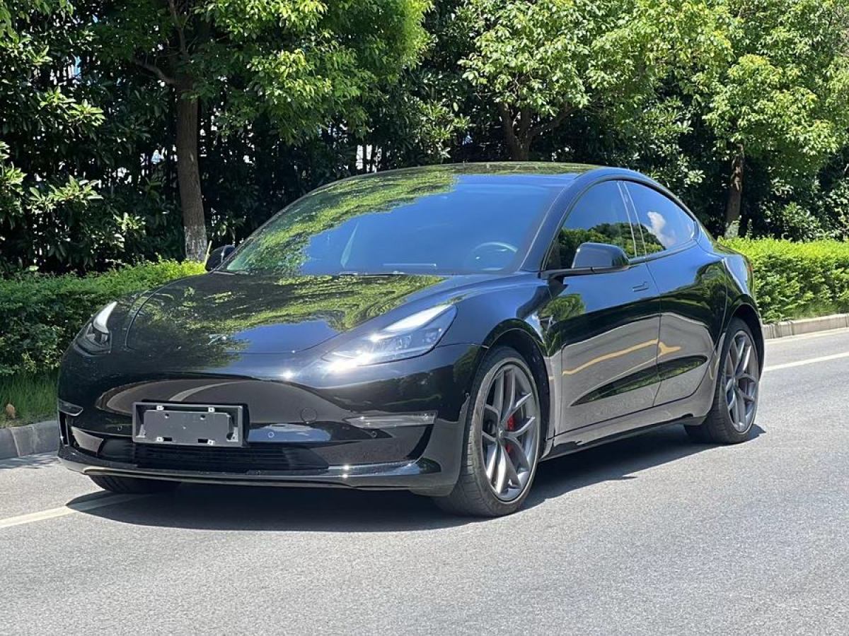 特斯拉 Model Y  2021款 Performance高性能全輪驅(qū)動(dòng)版圖片