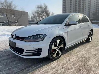 2016年2月 大眾 高爾夫GTI 2.0TSI GTI圖片