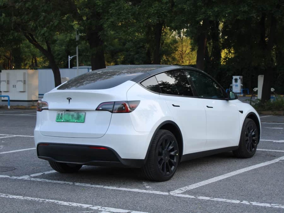 特斯拉 Model Y  2024款 長續(xù)航全輪驅動版圖片