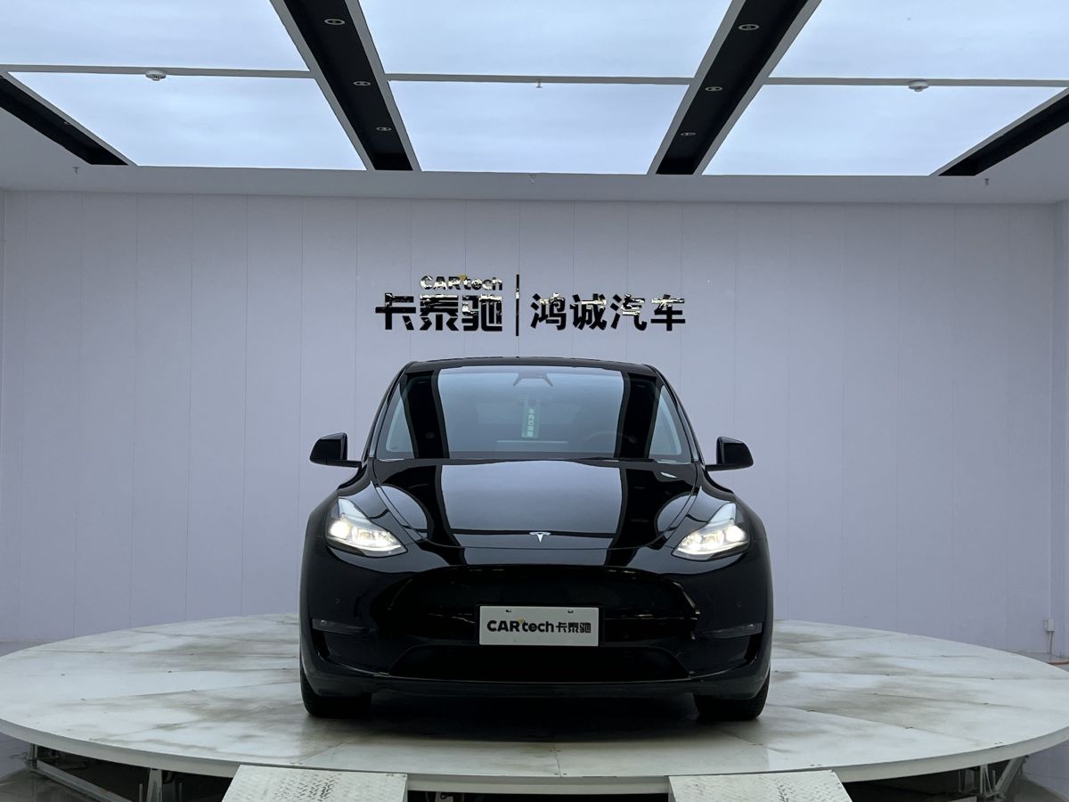 特斯拉 Model Y  2022款 Performance高性能全輪驅(qū)動版圖片