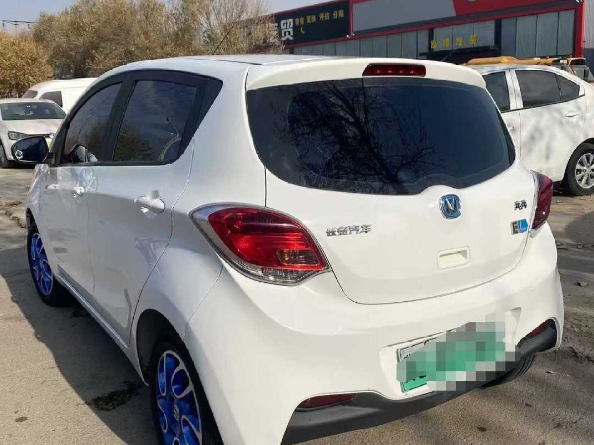 長(zhǎng)安 奔奔EV  2019款 改款 EV360 標(biāo)準(zhǔn)型圖片