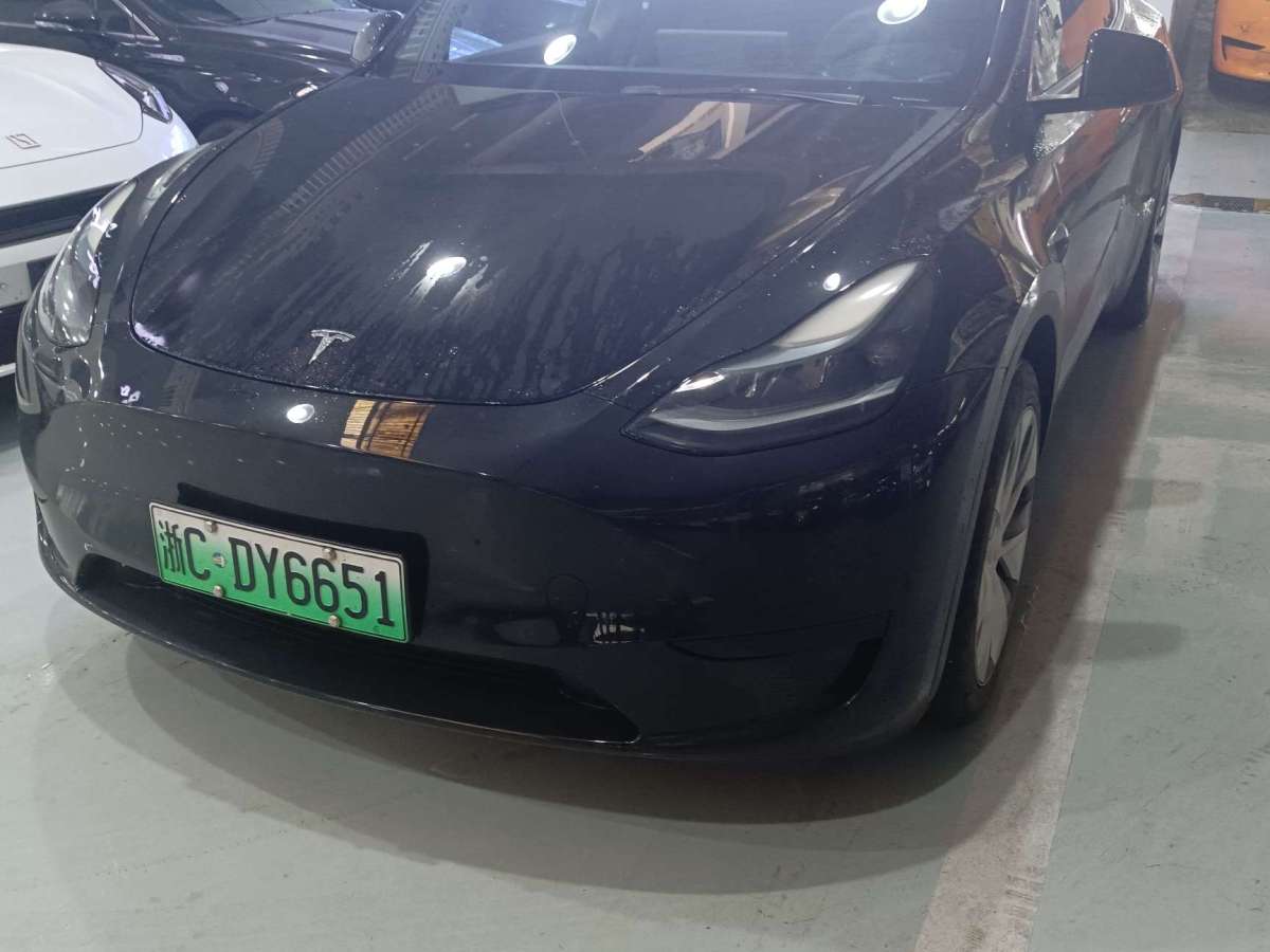 特斯拉 Model Y  2021款 改款 標(biāo)準(zhǔn)續(xù)航后驅(qū)升級(jí)版圖片