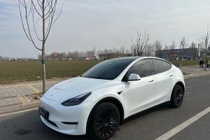 Model Y 特斯拉 長續(xù)航全輪驅動版