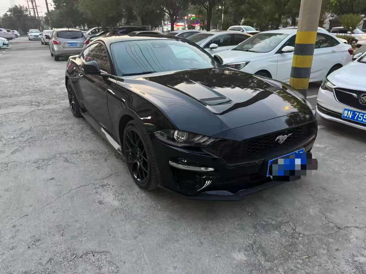 野馬 博駿  2019款 1.5L 手動精英型圖片