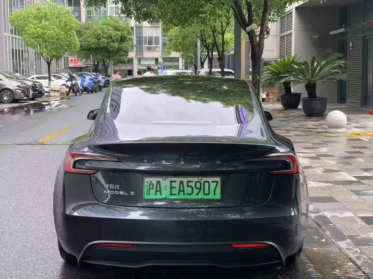 特斯拉 Model Y  2024款 Performance高性能版圖片