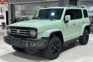 坦克300 坦克 城市版 2.0T 很有型