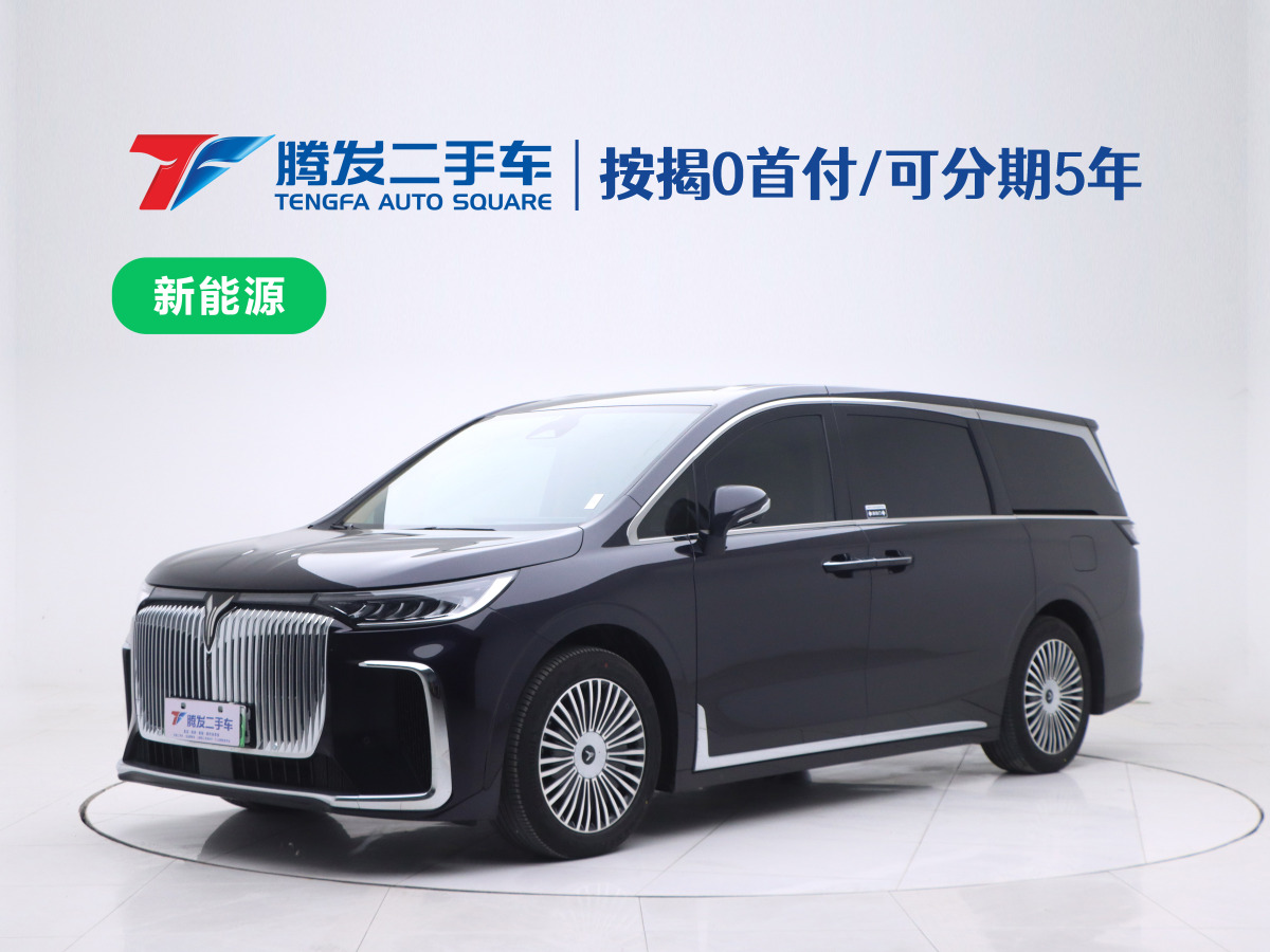 2025年2月嵐圖 夢想家  2025款 PHEV 四驅(qū)尊貴鯤鵬版