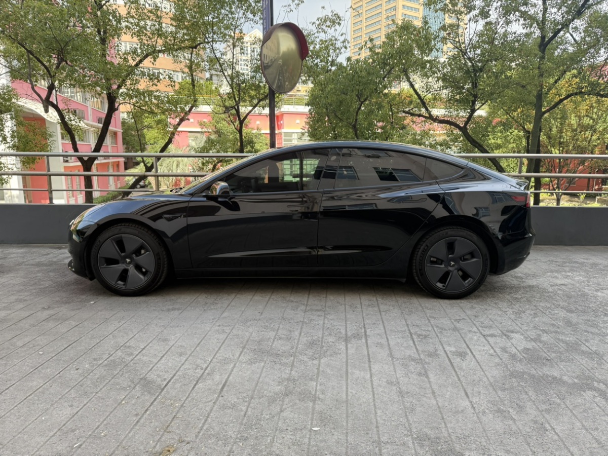 特斯拉 Model 3  2019款 標準續(xù)航后驅升級版圖片