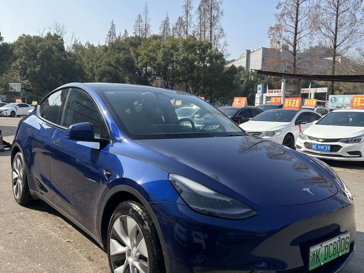 特斯拉 Model Y  2021款 標(biāo)準(zhǔn)續(xù)航后驅(qū)版圖片