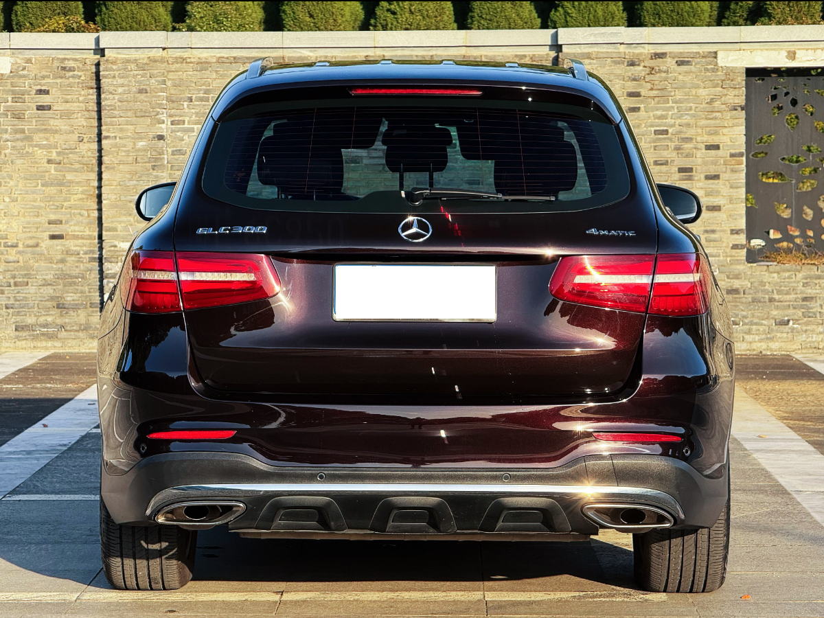 奔馳 奔馳GLC  2019款 GLC 260 4MATIC 動(dòng)感型圖片