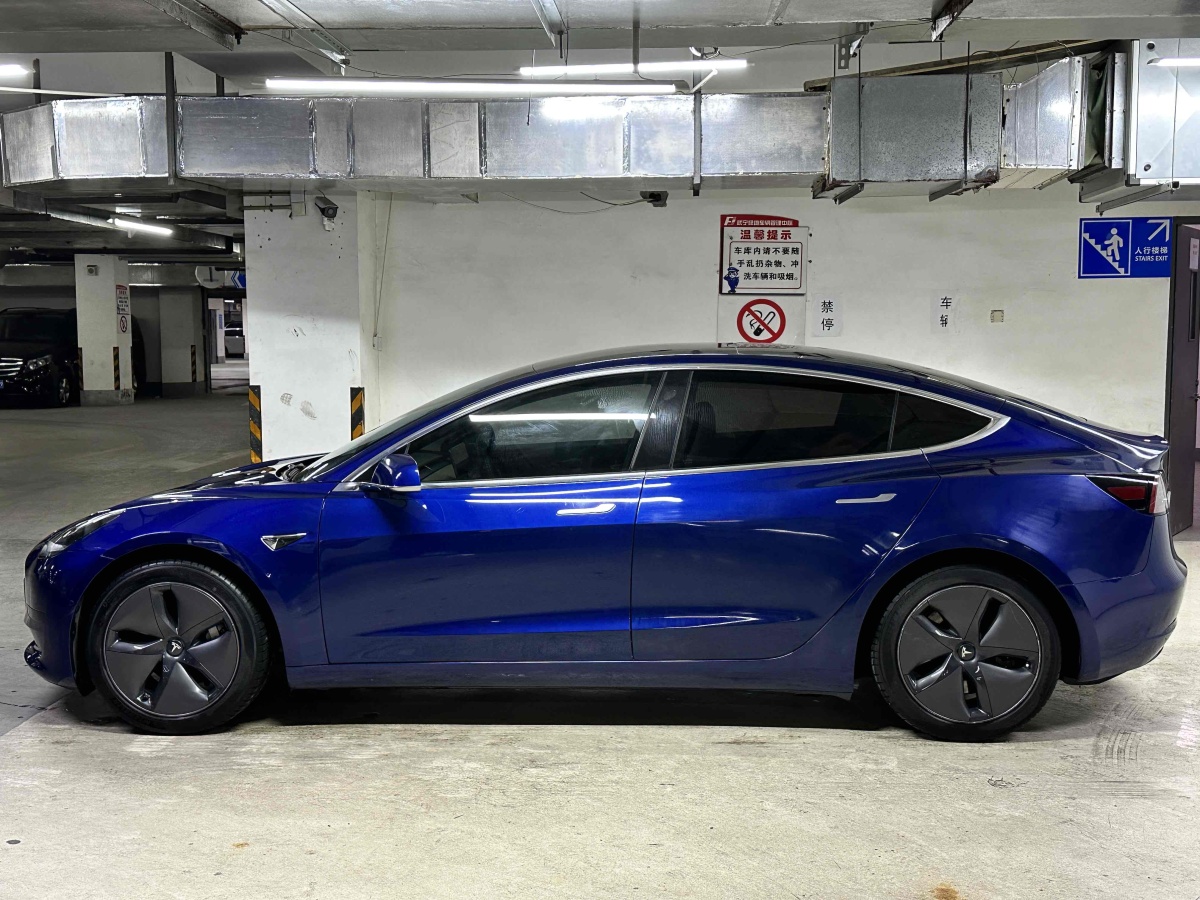 特斯拉 Model 3  2020款 改款 標(biāo)準(zhǔn)續(xù)航后驅(qū)升級(jí)版圖片