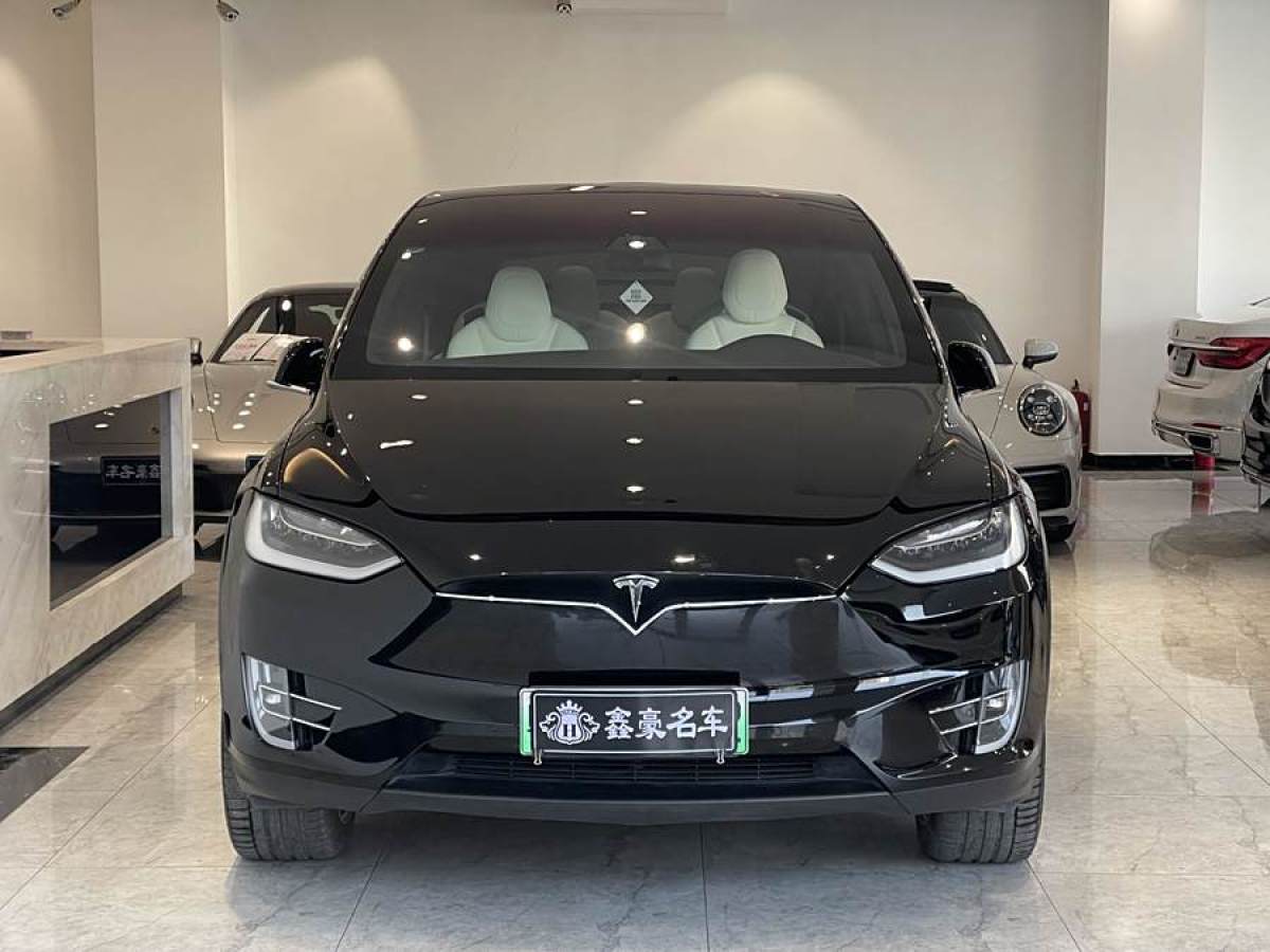 2019年6月特斯拉 Model X  2019款 長續(xù)航版