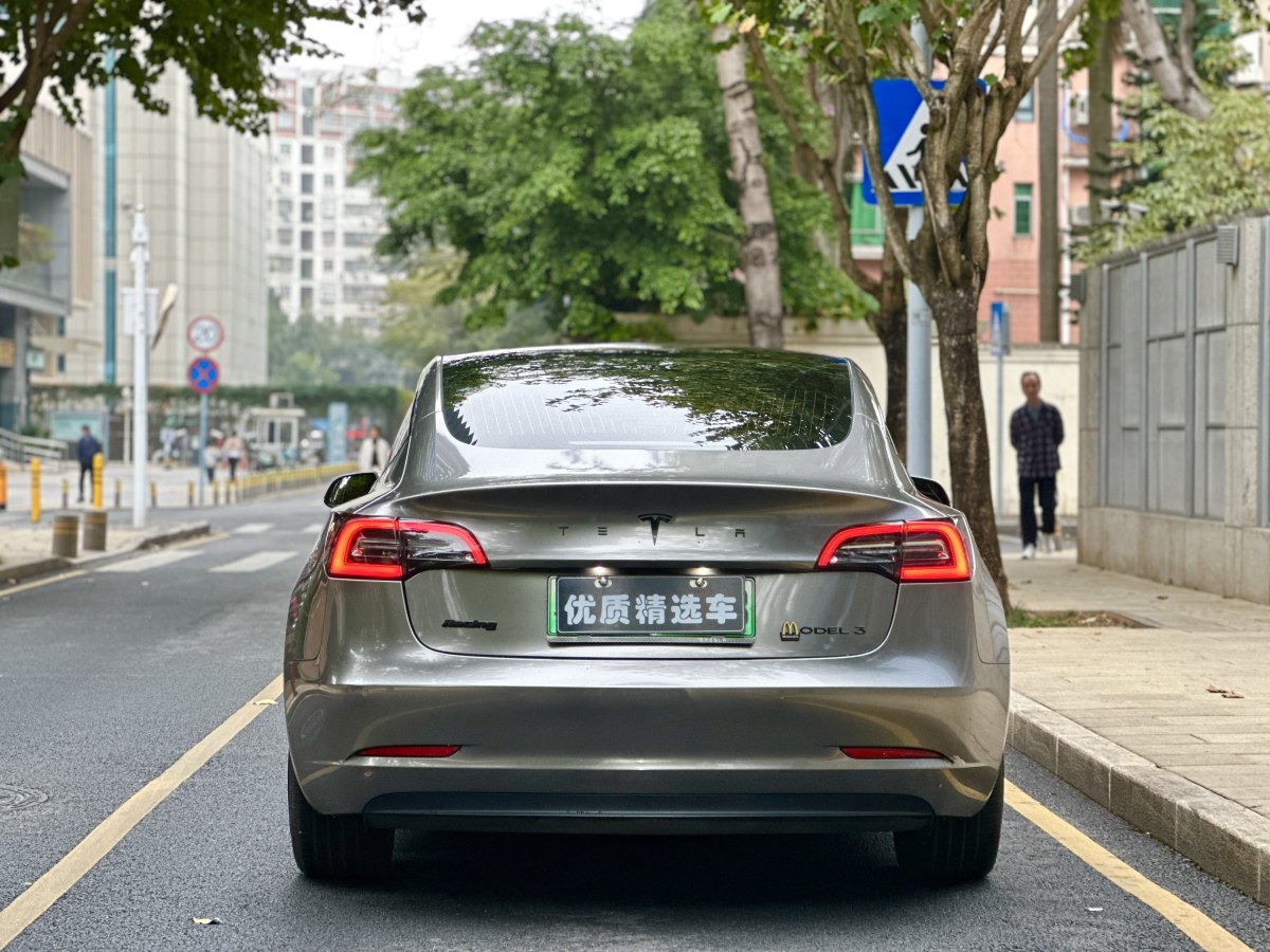 特斯拉 Model 3  2019款 標(biāo)準(zhǔn)續(xù)航后驅(qū)升級(jí)版圖片