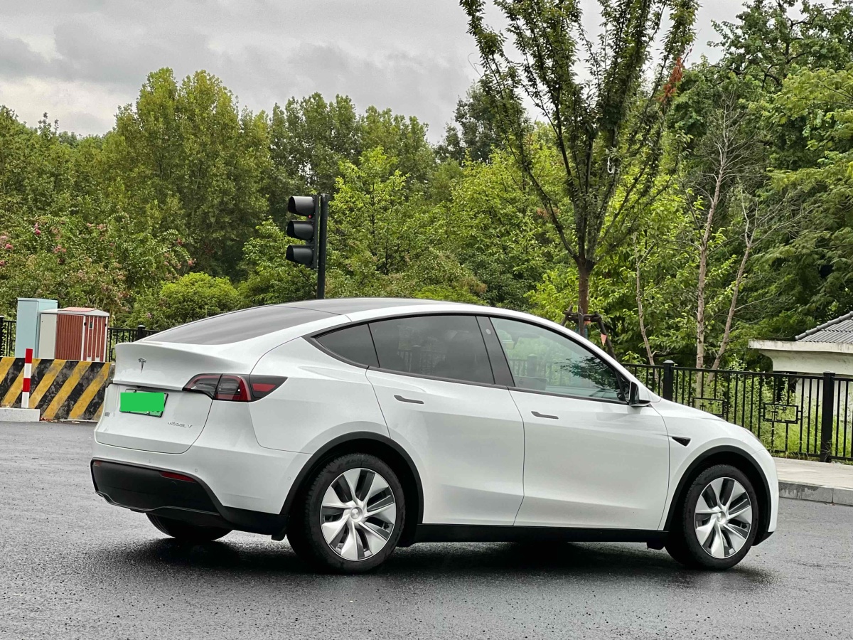 特斯拉 Model Y  2020款 改款 长续航后轮驱动版图片