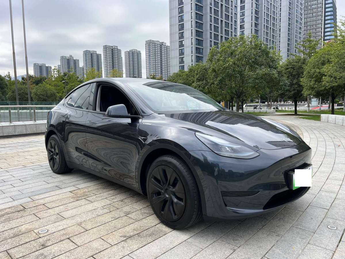 2024年4月特斯拉 Model Y  2022款 后輪驅(qū)動(dòng)版