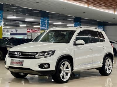 2016年6月 大眾 Tiguan(進口) 2.0TSI 專享版圖片