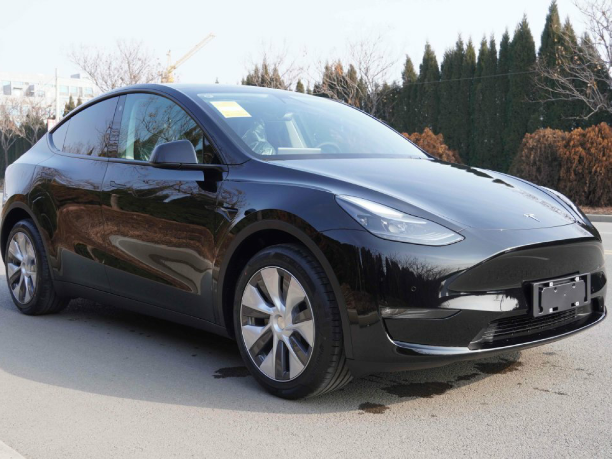 特斯拉 model y 2020款 改款 長續航後輪驅動版圖片