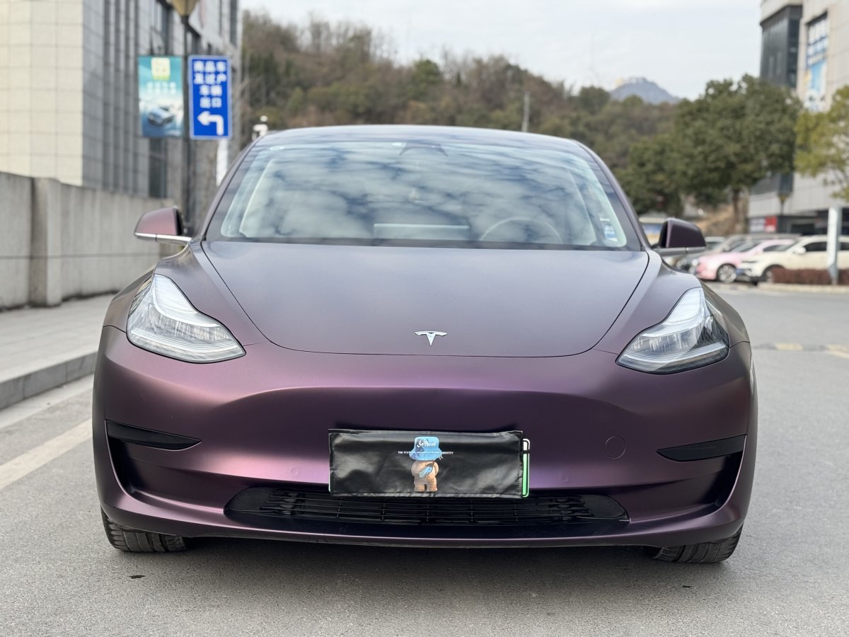 特斯拉 Model 3  2019款 標(biāo)準(zhǔn)續(xù)航后驅(qū)升級(jí)版圖片