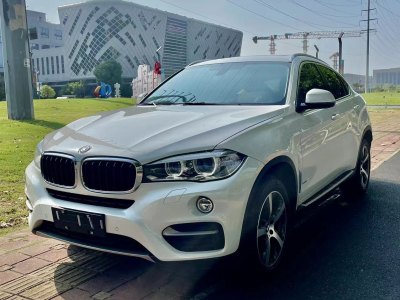 2014年12月 宝马 宝马X6(进口) xDrive35i 豪华型图片