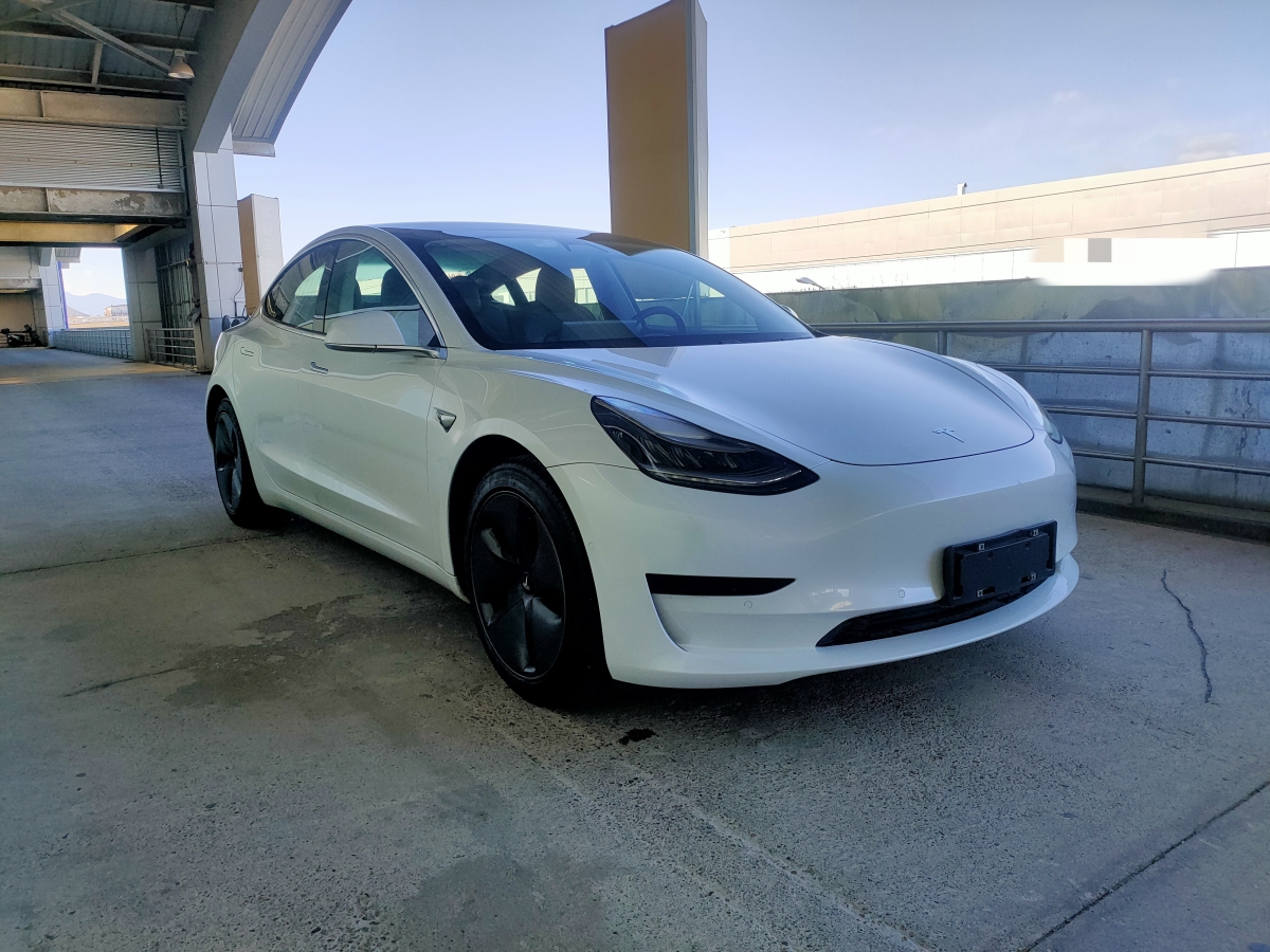 特斯拉 Model 3  2019款 標準續(xù)航后驅升級版圖片