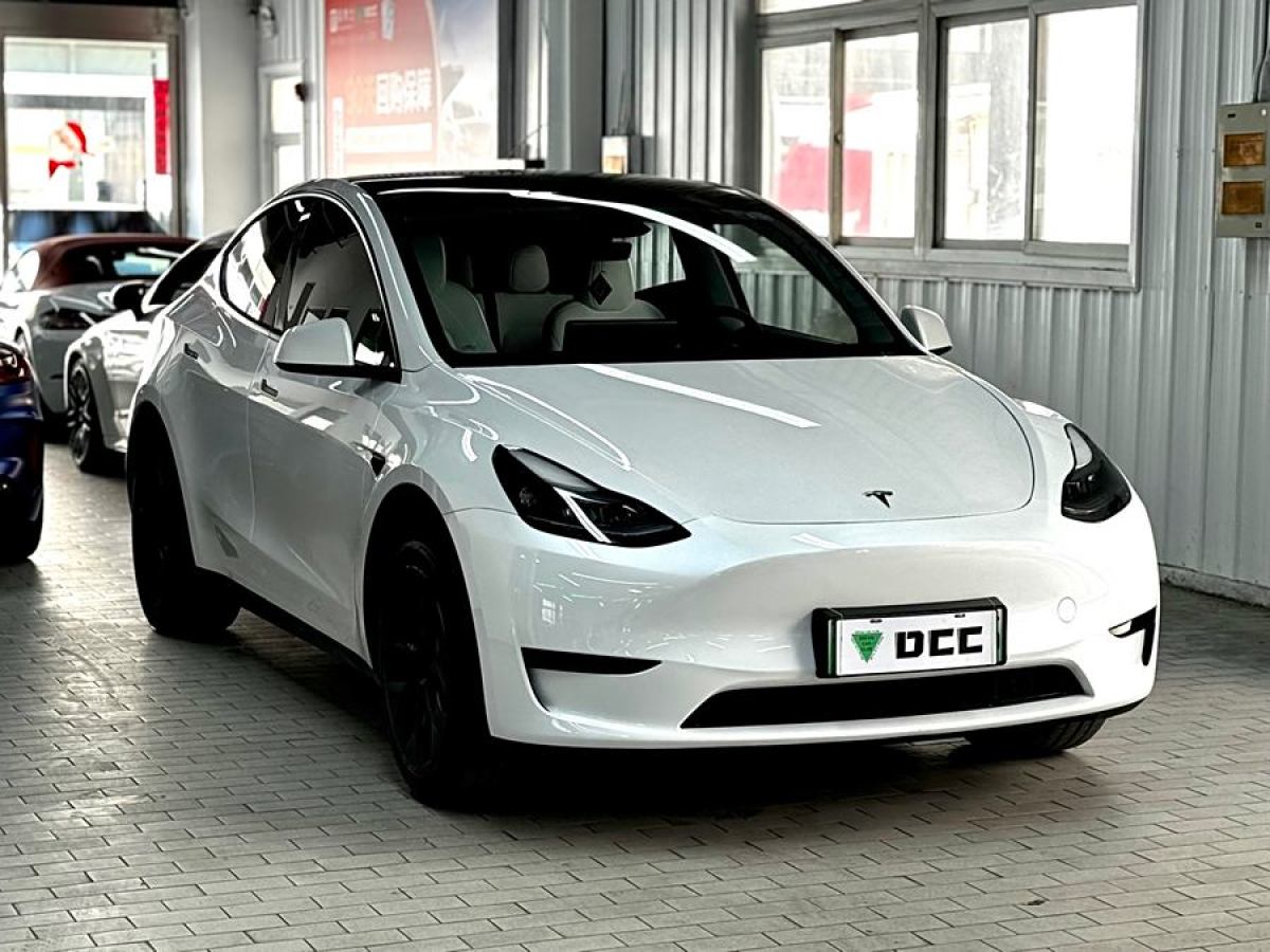 2024年8月特斯拉 Model 3  2020款 改款 長續(xù)航后輪驅(qū)動版