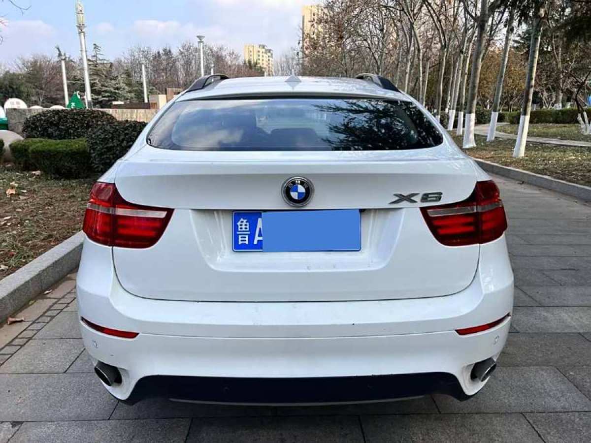 寶馬 寶馬X6  2014款 xDrive35i 運動型圖片