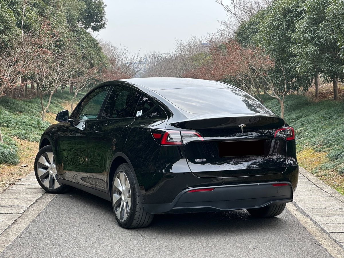 特斯拉 Model 3  2021款 改款 Performance高性能全輪驅動版圖片