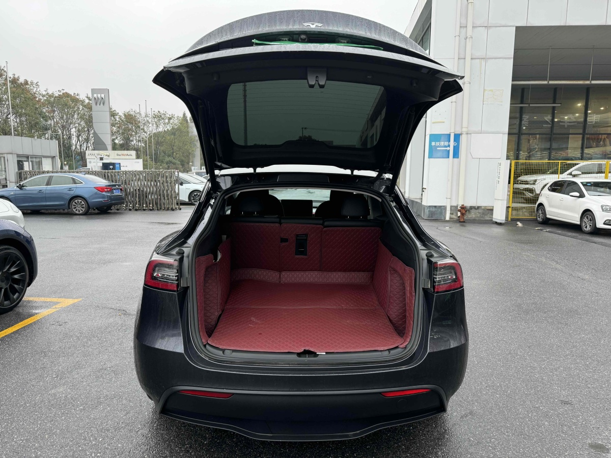 特斯拉 Model Y  2020款 改款 長(zhǎng)續(xù)航后輪驅(qū)動(dòng)版圖片