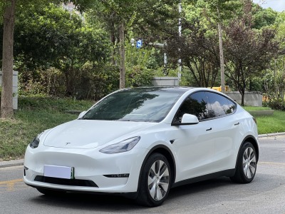 2021年09月 特斯拉 Model Y 改款 標(biāo)準(zhǔn)續(xù)航后驅(qū)升級(jí)版圖片