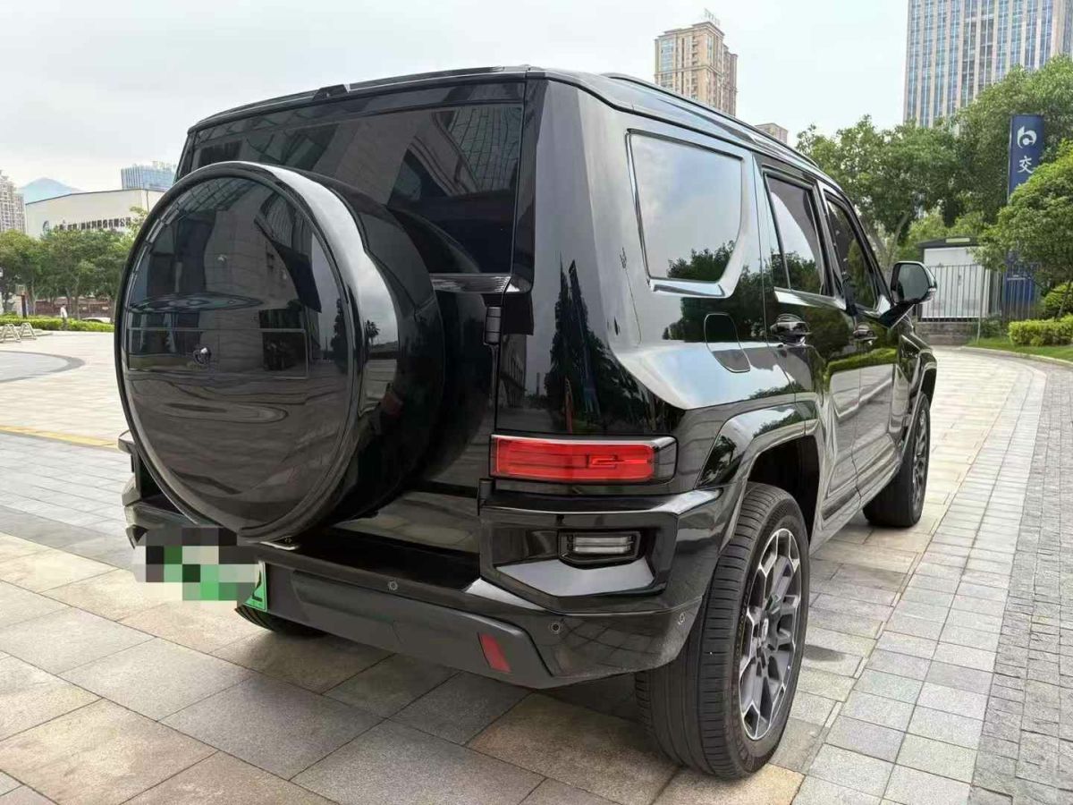 坦克 坦克300  2024款 2.0T 三周年限定版圖片