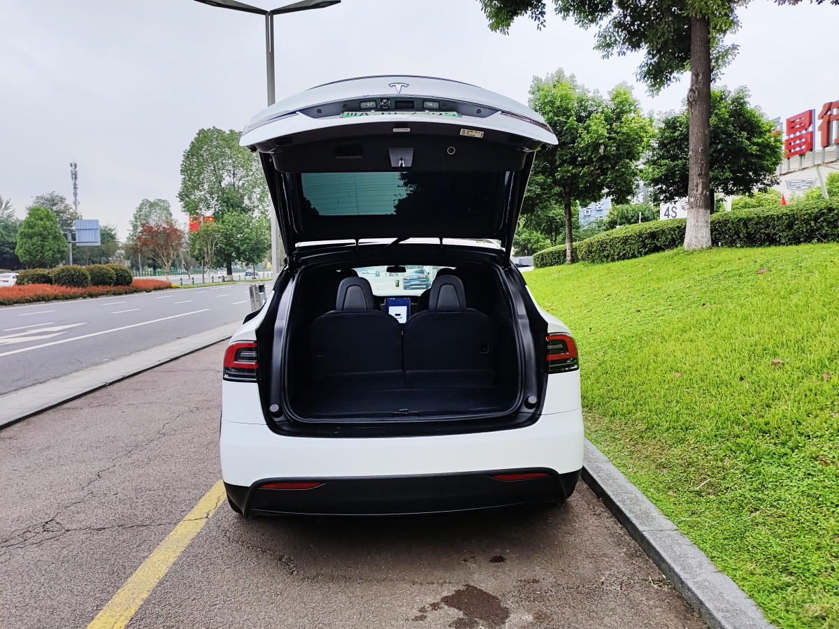 特斯拉 Model X  2019款 長續(xù)航版圖片